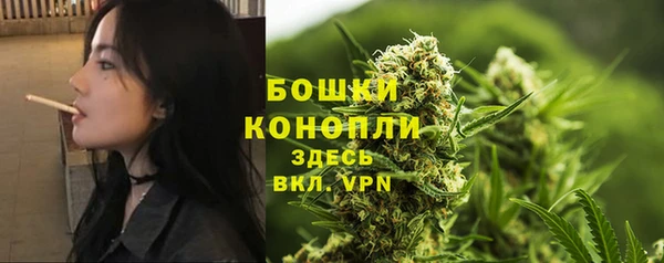 гидра Балабаново
