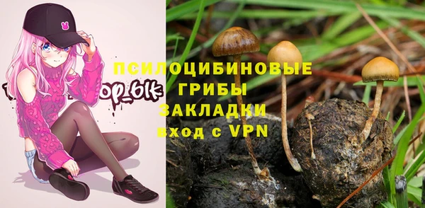дмт Аркадак